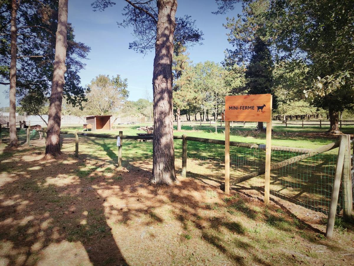Bungalow Cosy Equipe La Boissiere-de-Montaigu المظهر الخارجي الصورة